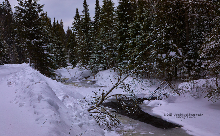 Creek entering Algonquin Provincial Park.