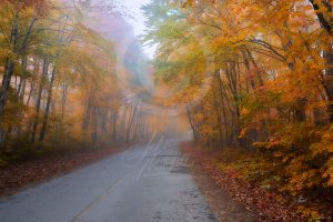 FINE ART PRINTS FOR SALE