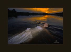 It was never about the dress.