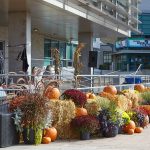 Cambridge city hall square decked out for Octoberfest