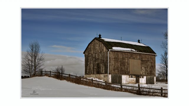 Fence line barn on a cold January day in Flamborough, Ontario ©2026 John Mitchell - Cambridge, Ontarioi