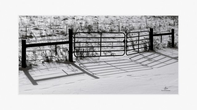 Shadows in the snow on a cold winter day south-western Ontario